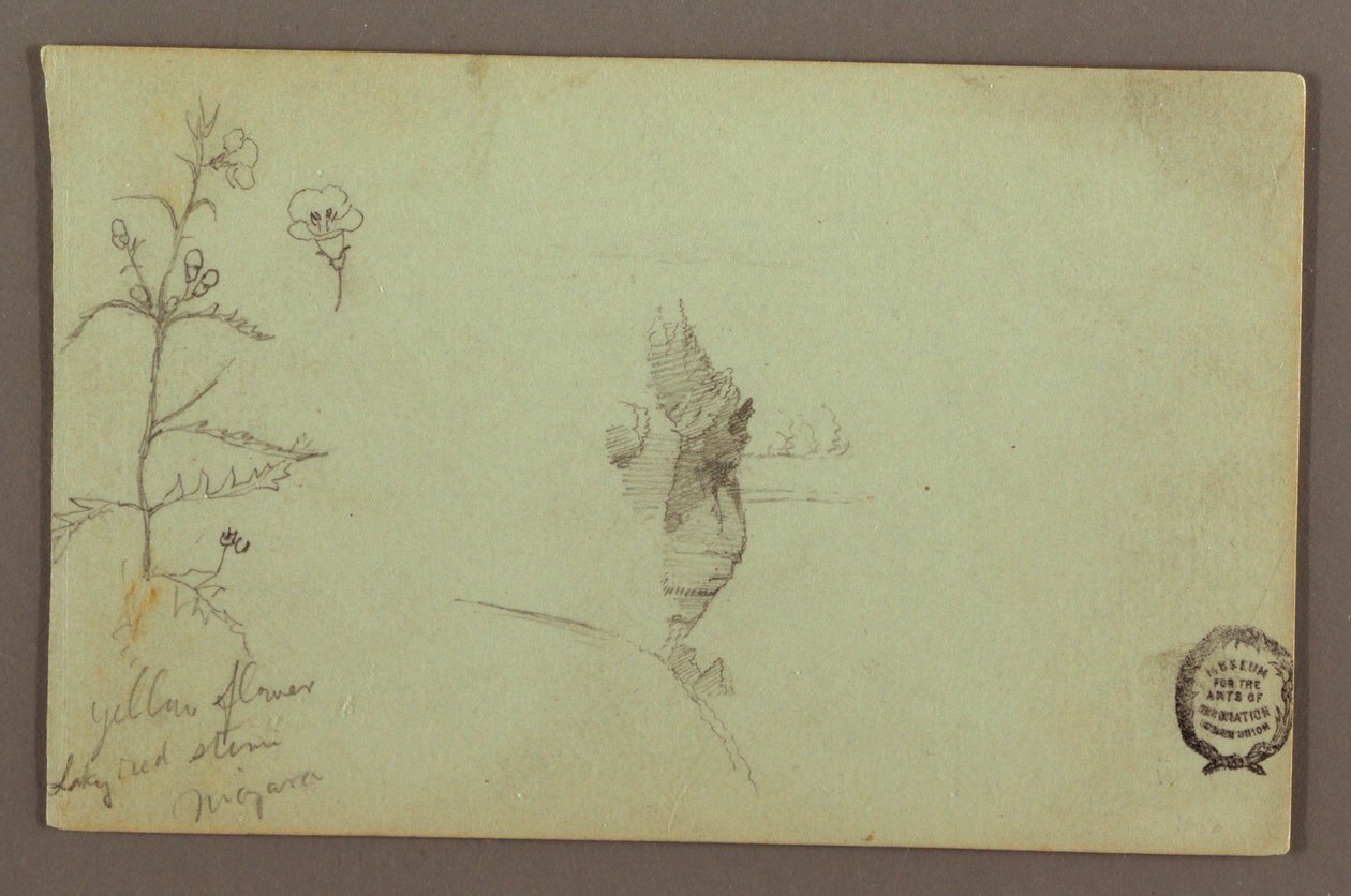 図面、ナイアガラのアメリカ滝とカナダ滝の間にある花と岩、1858年頃か 作： フレデリックエドウィン教会