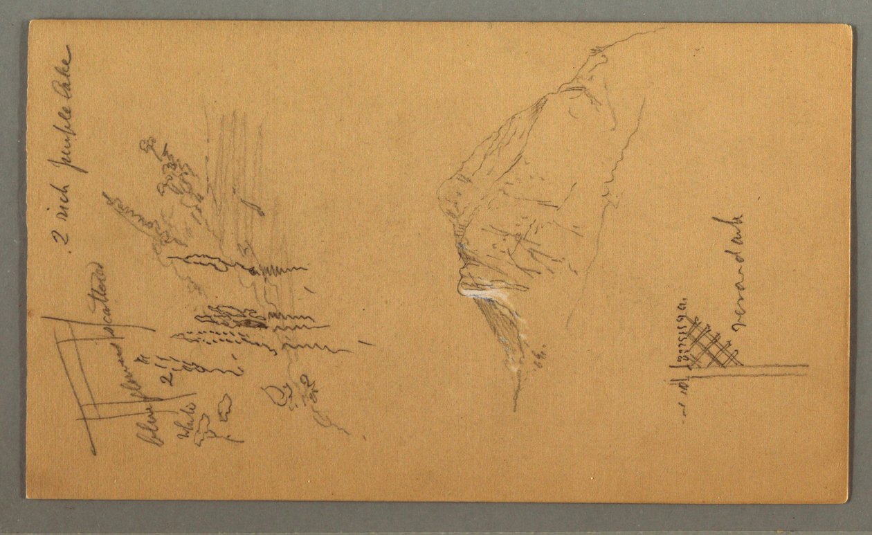 デッサン、山頂、プール脇の植生、1868年 作： フレデリックエドウィン教会