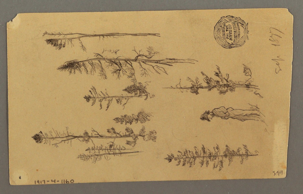 ドローイング、山頂、1877年 作： フレデリックエドウィン教会
