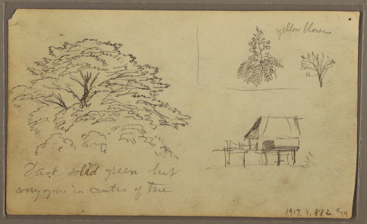デッサン、グアヤキルの眺め、エクアドル、1857年5月23日 作： フレデリックエドウィン教会