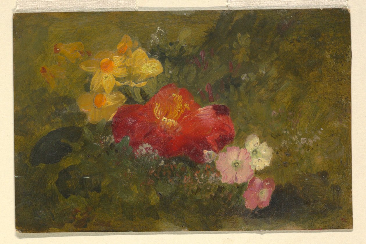 デッサン、野生の花、ジャマイカ、1865年 作： フレデリックエドウィン教会