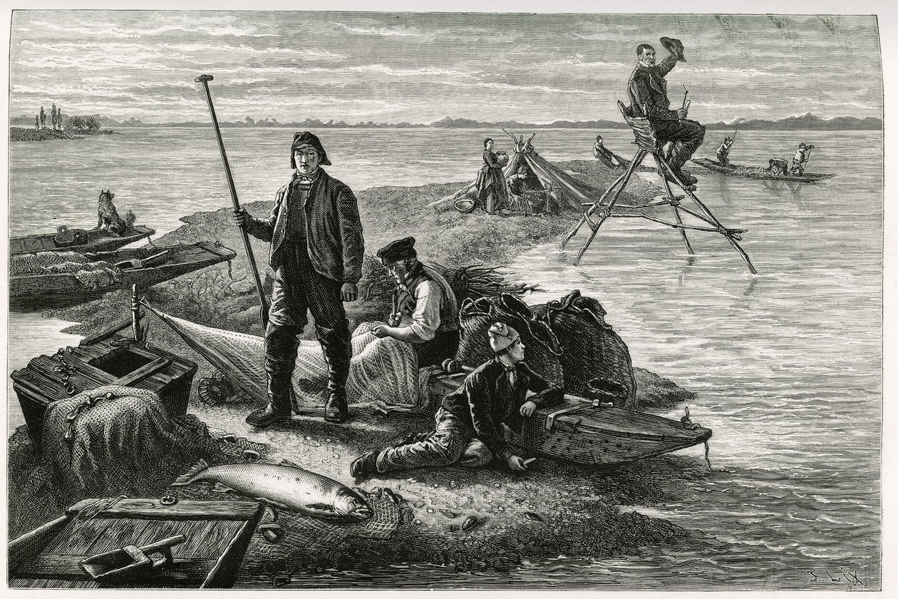 鮭釣り。ドイツの代官、作家、博物学者であるチャールズ・グラッド（1842-1890）が1884年に発表した「アルザスとロレーヌを通って」という物語の挿絵として、F.Lixが描いたもの。Le Tour du monde, nouveau journal des voyages, second semester 1885, edited by 作： フレデリック・セオドア・リックス