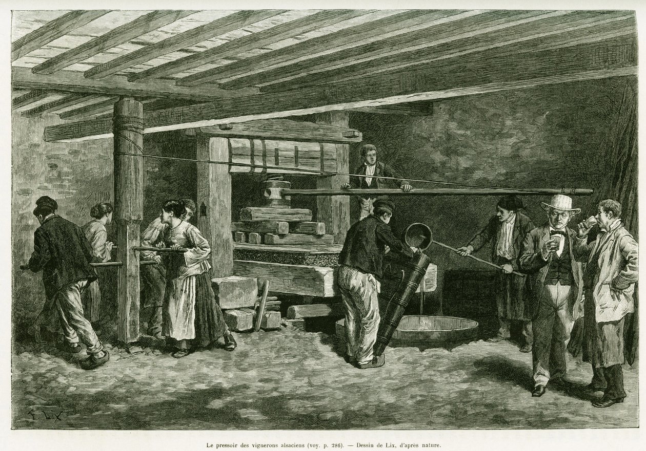 アルザスのワイン生産者たちのワインプレス。エドゥアール・シャルトン（1807-1890）が監督した1888年のツアー・デュ・モンドに参加したドイツ人副官シャルル・グラッドが1887年に行った「アルザスとロレーヌ地方の旅」の物語を説明するためにリックスが描いた版画。 作： フレデリック・セオドア・リックス