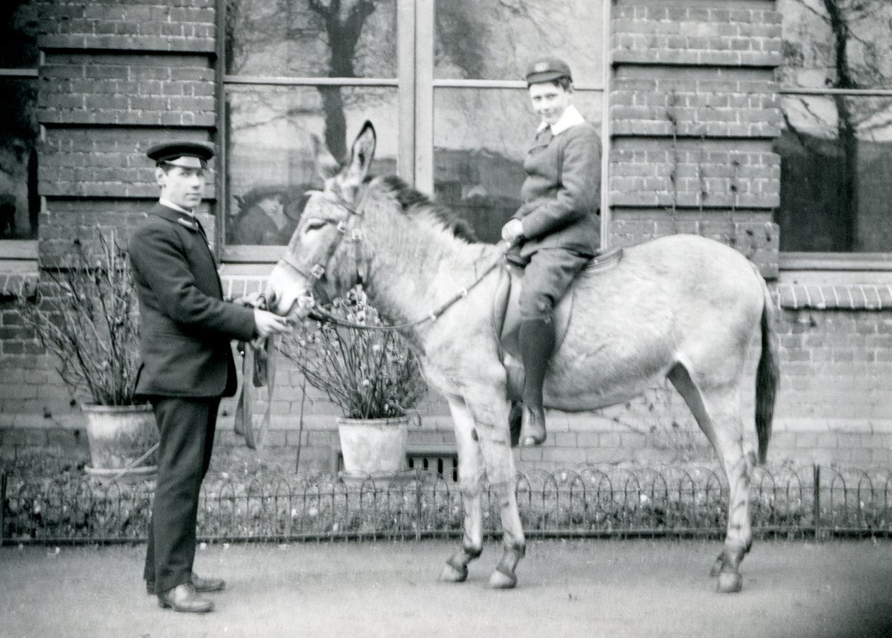 1913年6月、ロンドン動物園の少年が乗ったロバを飼育係が率いる 作： フレデリックウィリアムボンド
