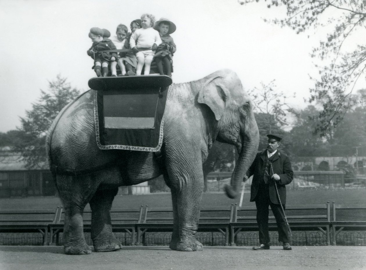 1913年頃、ロンドン動物園で小さな子供を乗せて飼育係がいたインド象 作： フレデリックウィリアムボンド