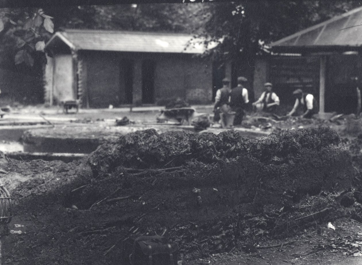 バックグラウンドで飼育係がいるビーバーロッジ、ロンドン動物園、1916年7月 作： フレデリックウィリアムボンド