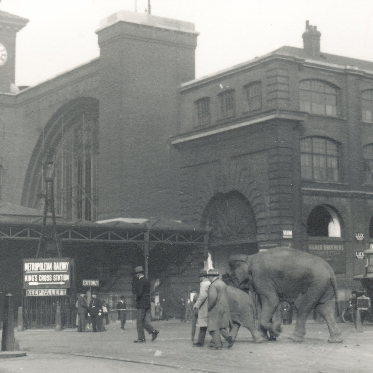 1927年9月にZSLロンドン動物園に向かう途中、キングスクロス駅を通過するドックから歩いている象 作： フレデリックウィリアムボンド
