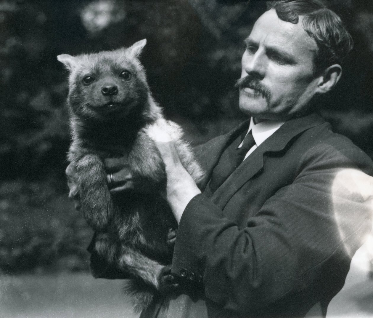 1919年にロンドン動物園で赤ちゃんハイエナを抱えているキーパーチャールズディクソン 作： フレデリックウィリアムボンド