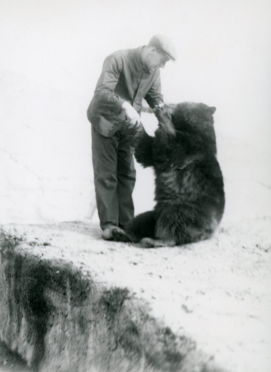 1930年以前にロンドン動物園で座っているクロクマと手をつないでいるキーパーチャーリーフィリップス（bw写真） 作： フレデリックウィリアムボンド