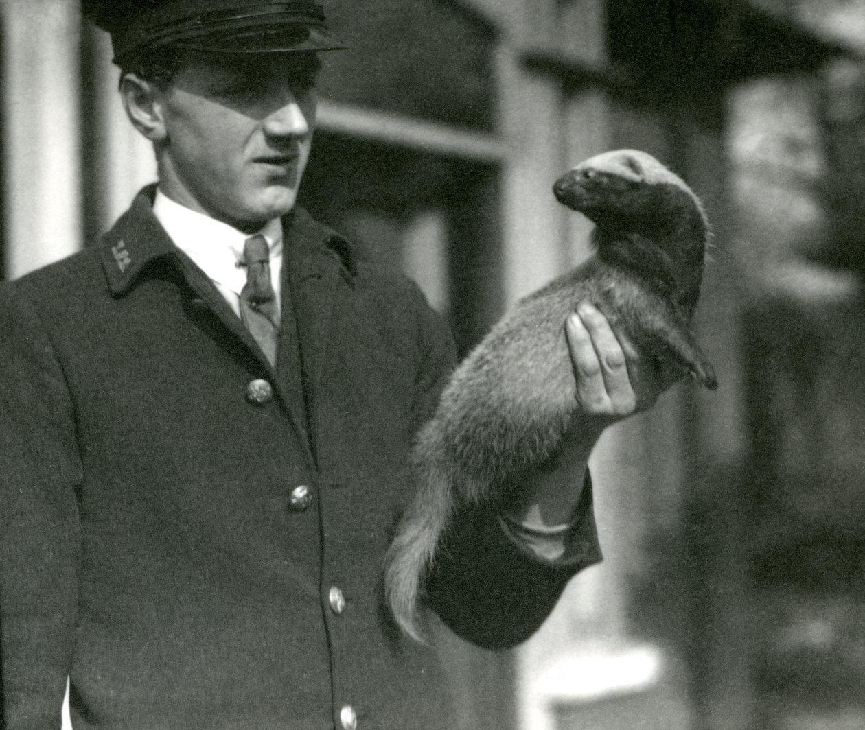グリソンを保持しているキーパーレスリーフレウィン、ロンドン動物園、1923年（bw写真） 作： フレデリックウィリアムボンド