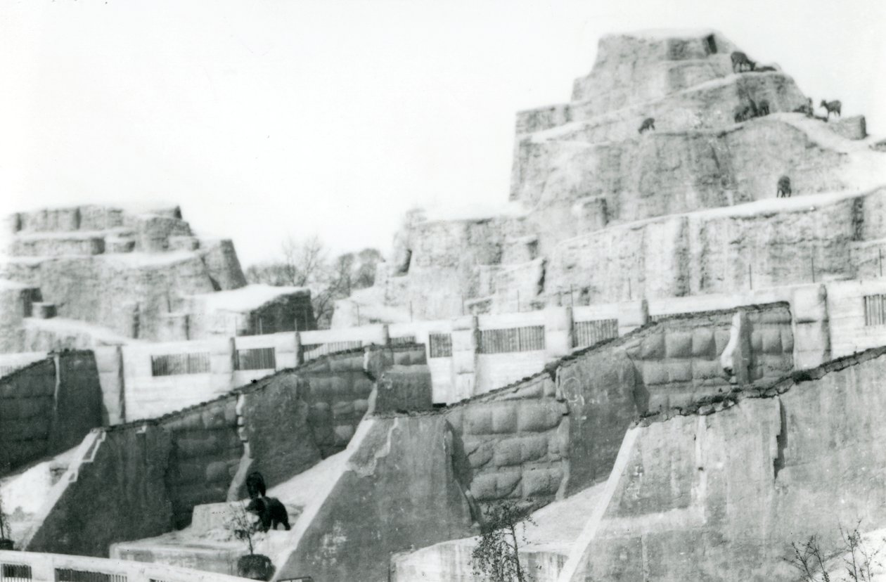 Mappin Terraces、ロンドン動物園、1922年 作： フレデリックウィリアムボンド
