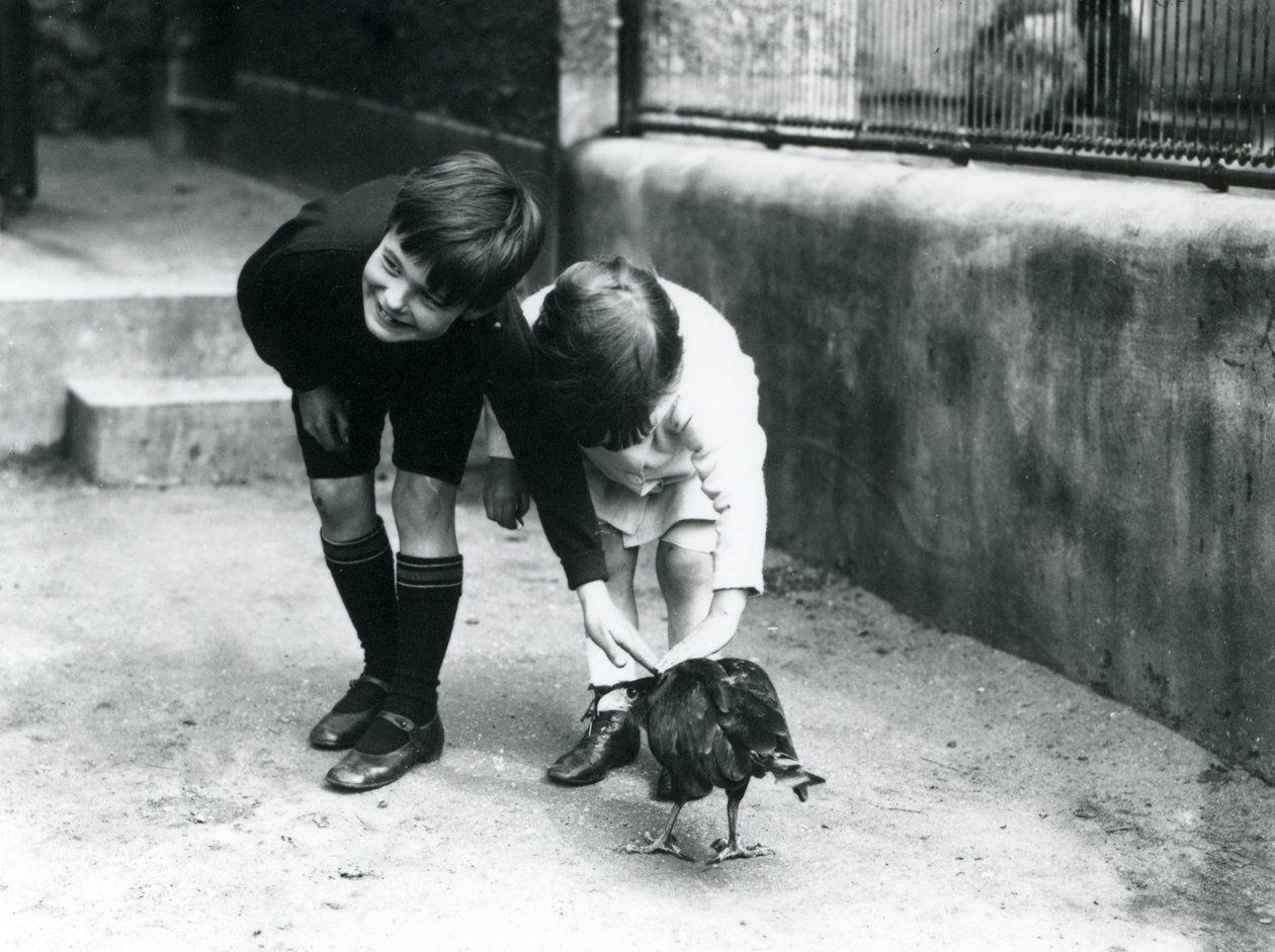 1914年6月、ロンドン動物園で2人の若い訪問者が飼いならされた横紋カラカラに出会う 作： フレデリックウィリアムボンド