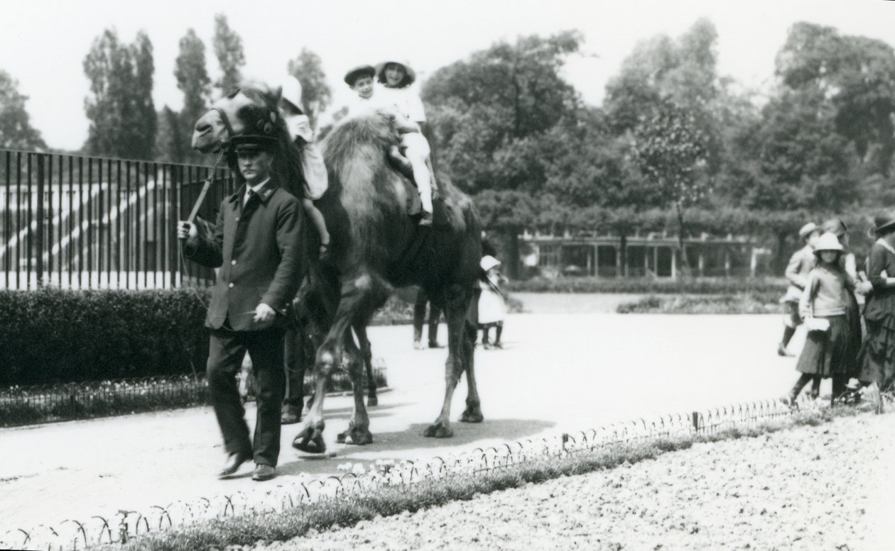 1922年8月にロンドン動物園で飼育係が率いるフタコブラクダに乗った2人の若い訪問者（bw写真） 作： フレデリックウィリアムボンド