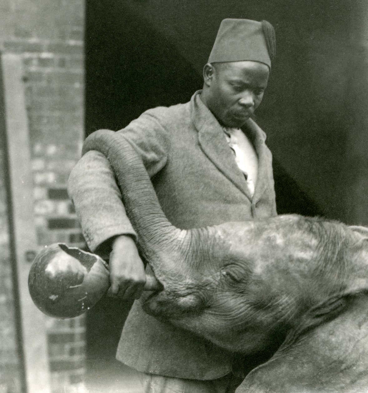 サイードアリがロンドン動物園で1923年9月に撮影している間に、若いアフリカゾウキバレンゲがダリシャから飲み物を与えられている（bw写真） 作： フレデリックウィリアムボンド