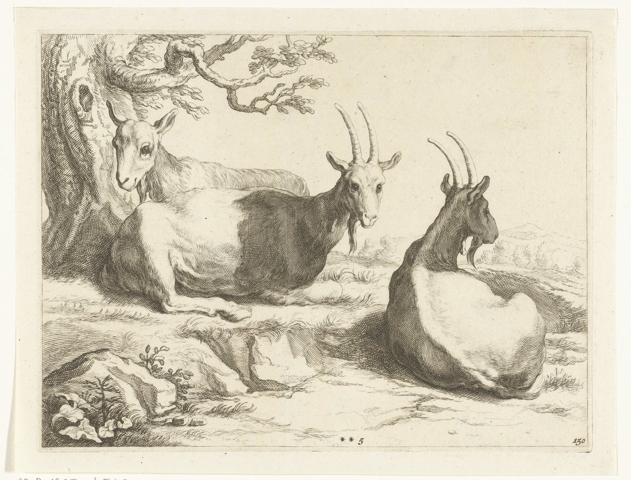 ヤギ Abraham Bloemaert のドローイング ブック (シリーズ タイトル) 作： フレデリック・ブルーマート