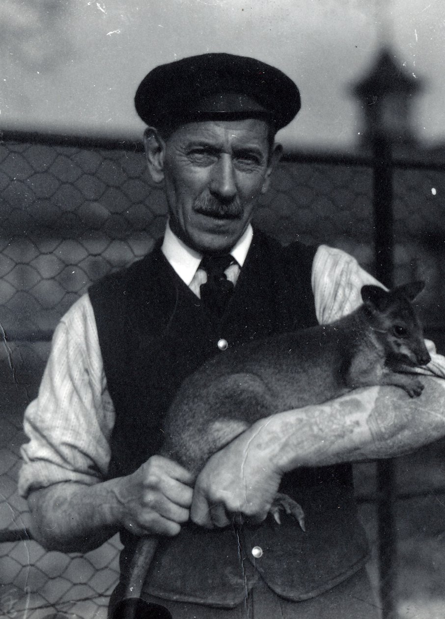ワラビーを抱く飼育員（1920年10月）（モノクロ写真 作： フレデリックウィリアムボンド