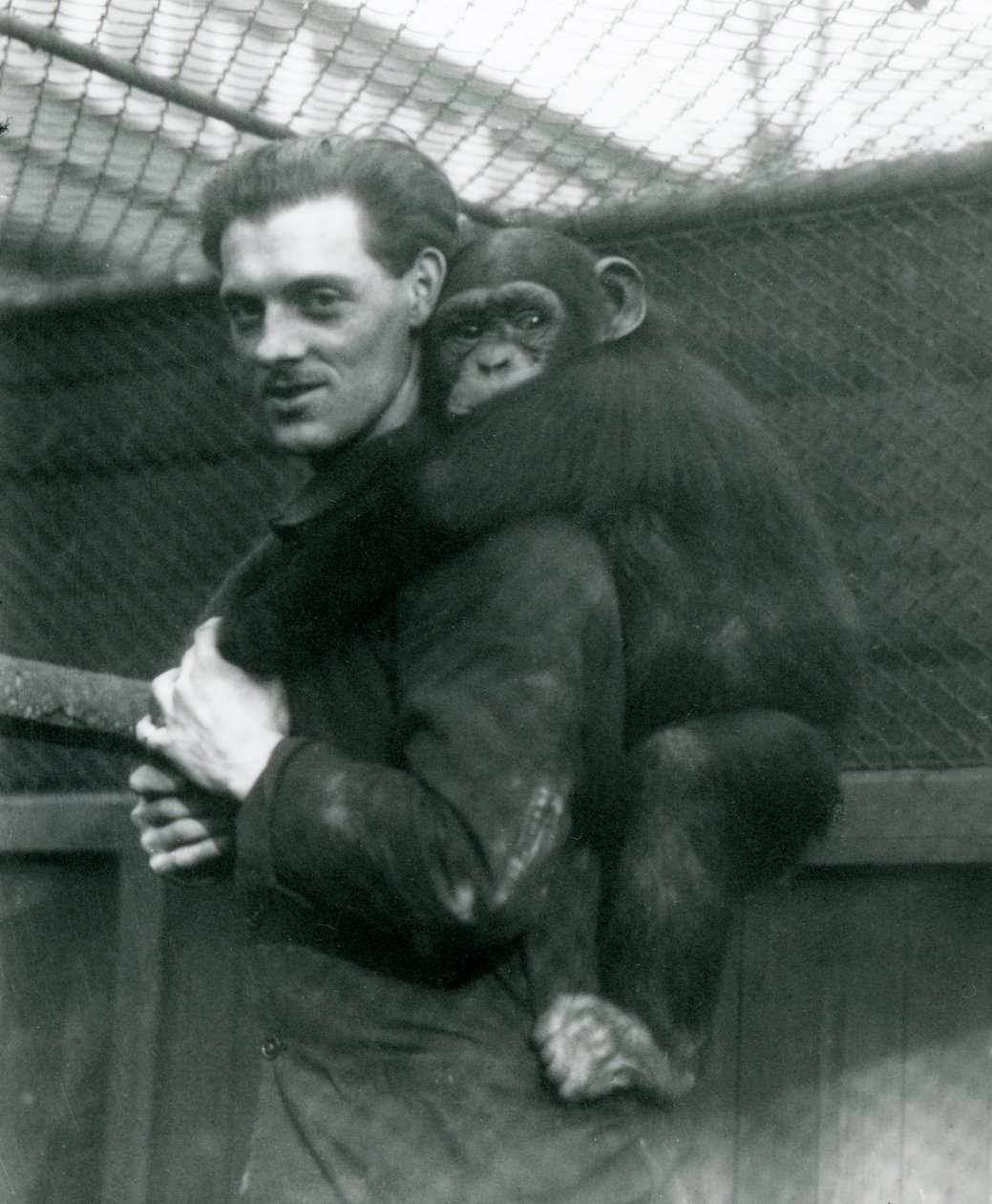 チンパンジーサリーを背負った男性、ロンドン動物園、1924年 作： フレデリックウィリアムボンド