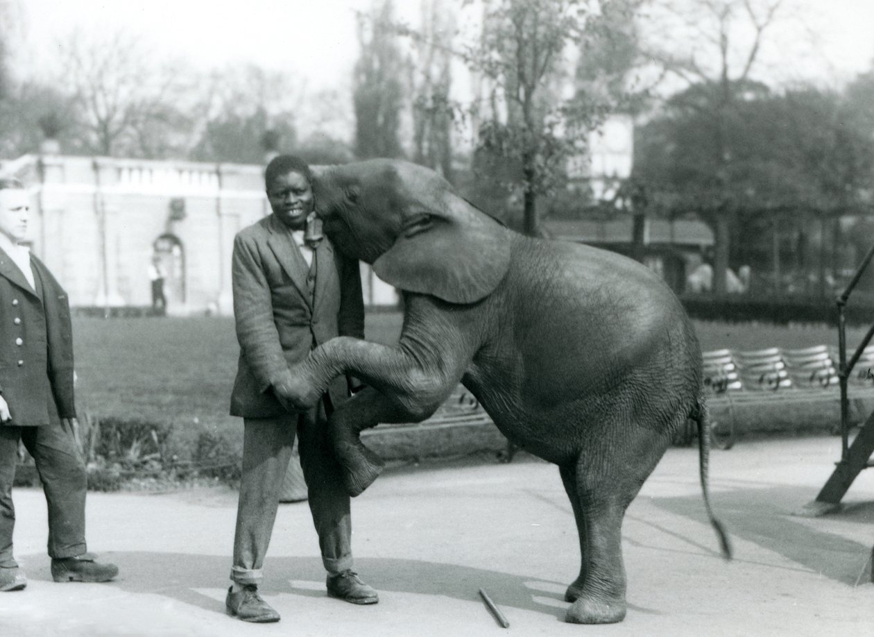 1925年7月、ロンドン動物園で飼育係が見ている間、若いアフリカのピグミーエレファントが後ろ足で立ってアフリカのトレーナーを抱きしめています。 作： フレデリックウィリアムボンド