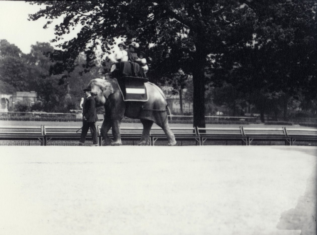 1914年5月、ロンドン動物園で飼育係に率いられながら、2人の女性と1人の子供に乗るアジアゾウ「ジェシー」 作： フレデリックウィリアムボンド
