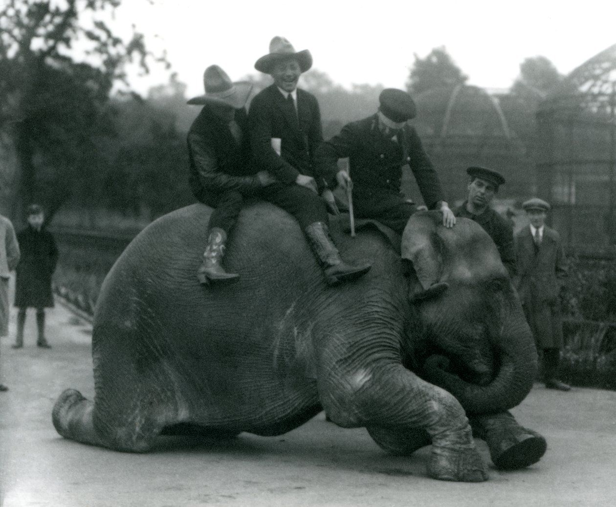 1924年にロンドン動物園を訪問中のカウボーイと女性インド象サンデマーラのトレーナー 作： フレデリックウィリアムボンド