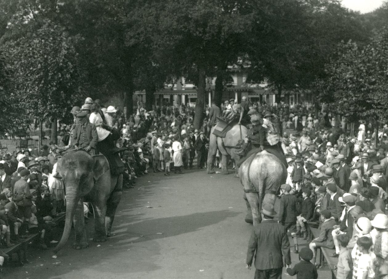 1926年8月、ロンドン動物園で3頭のアジアゾウを大勢の観客が見守る中でのエレファントライド（モノクロ写真 作： フレデリックウィリアムボンド