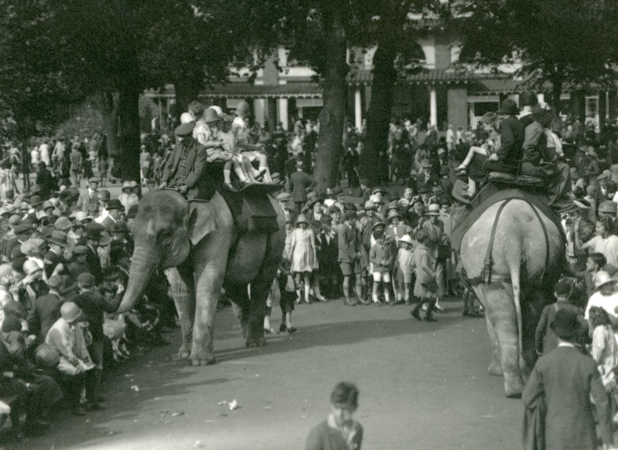 1926年8月、ロンドン動物園で2頭のアジアゾウを大勢の観客が見守る中でのエレファントライド（モノクロ写真 作： フレデリックウィリアムボンド