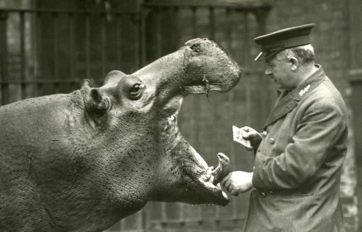 1927年にロンドン動物園で飼育されていたアーニーボーマンとカバのボビー 作： フレデリックウィリアムボンド