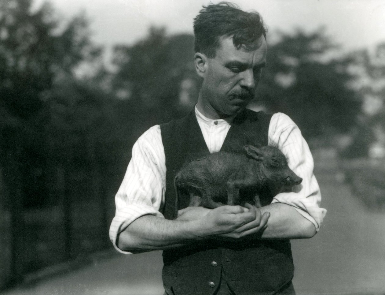 1922年8月にロンドン動物園で飼育員のハリーワーウィックが赤ちゃんイボイノシシを抱きしめて 作： フレデリックウィリアムボンド