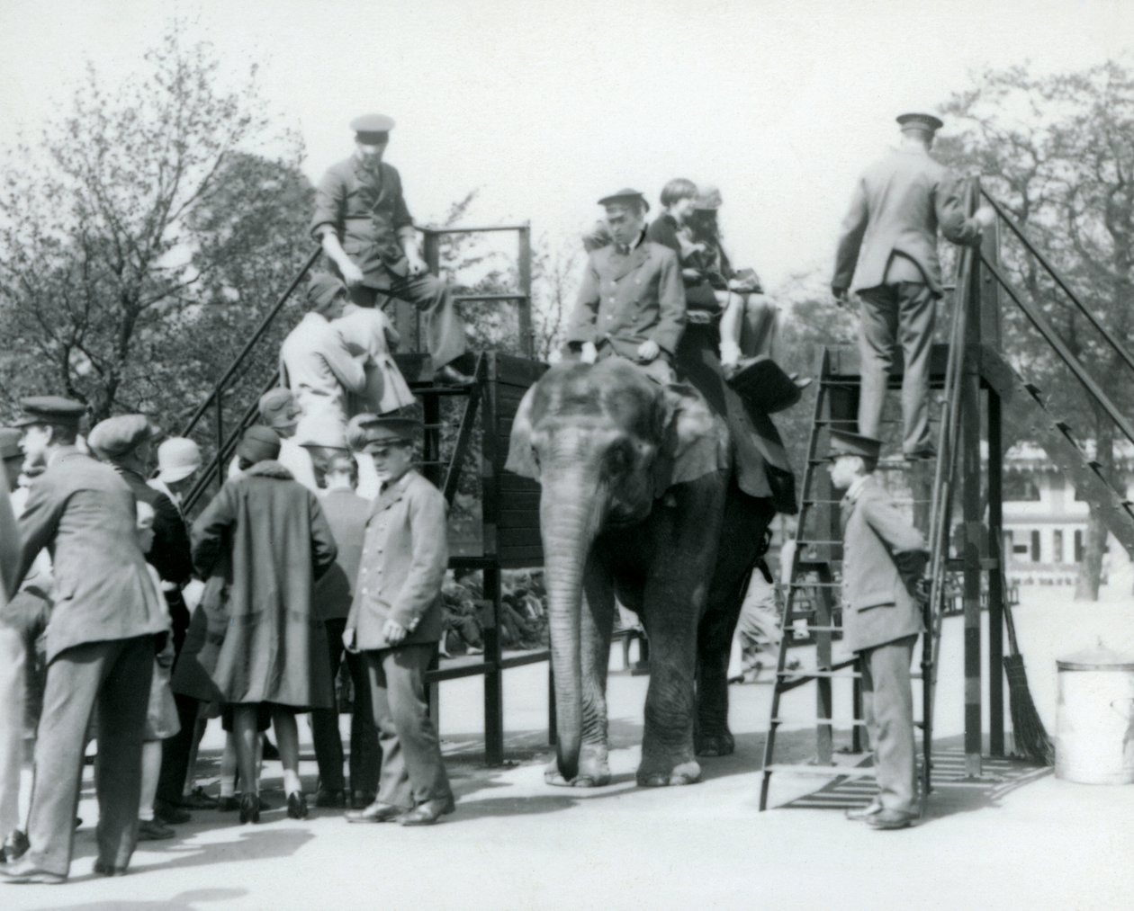 1927年にロンドン動物園の5人の飼育係の助けを借りて、エレファントライドを待っている人や他の人が乗っている訪問者 作： フレデリックウィリアムボンド