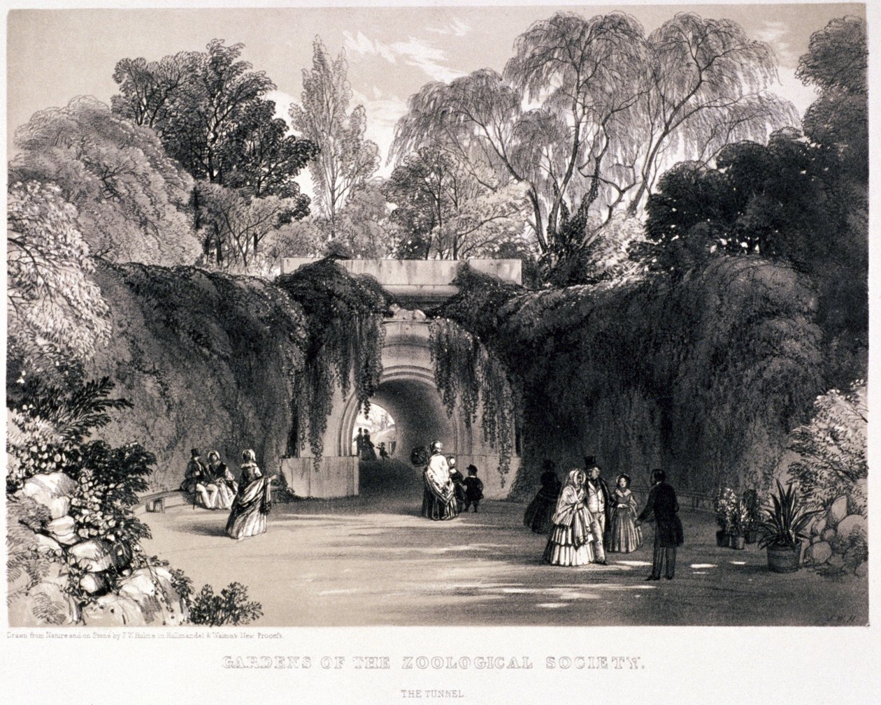 動物園、リージェンツ パーク、メリルボーン、ロンドン、c1840 作： フレデリック・ウィリアム・ハルム