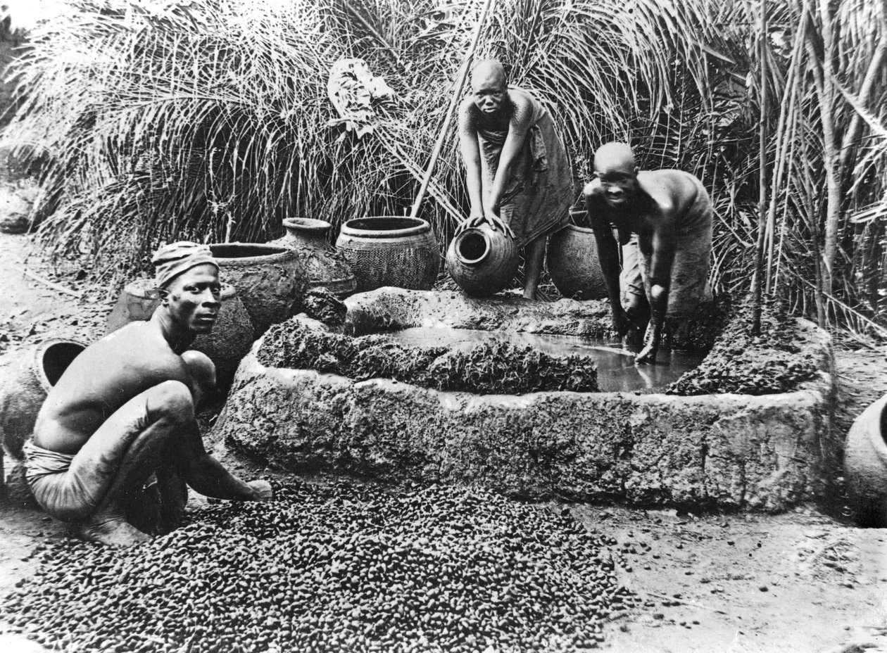 ダホメでパーム油を作る、1900年頃 作： フランスの写真家