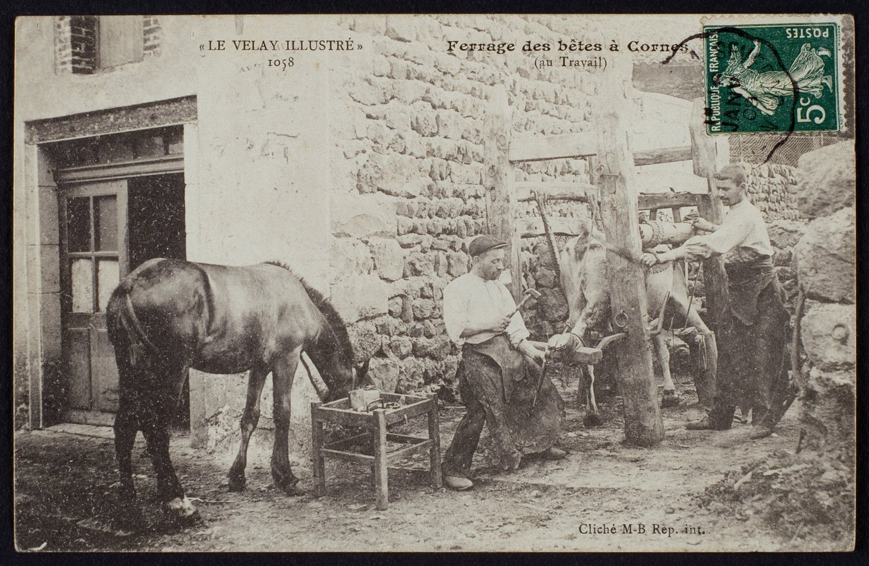1900年頃、コーヌの馬の脱走を描いた絵葉書 作： フランスの写真家