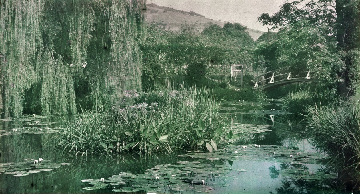 1920年代初頭のジヴェルニーのモネの庭にあるスイレンの池と日本橋（写真） 作： フランスの写真家