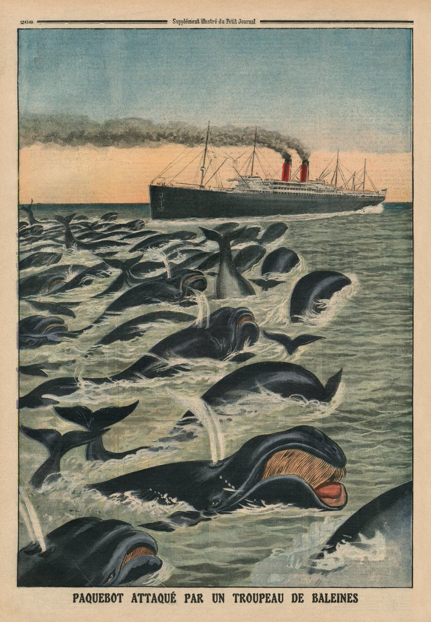 ライナーを攻撃するクジラの群れ、「ルプチジャーナル」の裏表紙イラスト、補足イラストレーター、1913年8月17日 作： フランス語学校