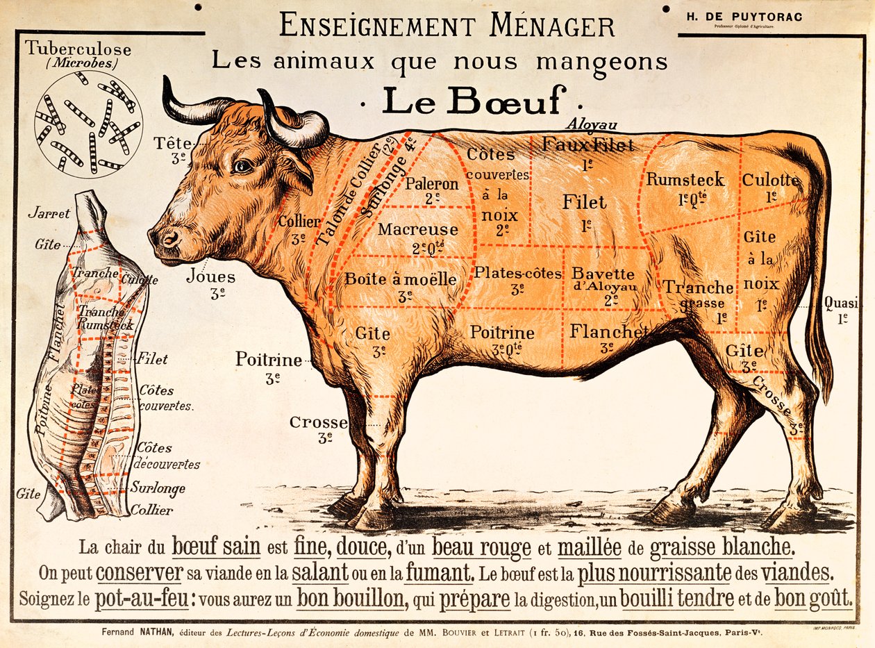 牛肉：肉のさまざまなカットを示す図 作： フランス語学校