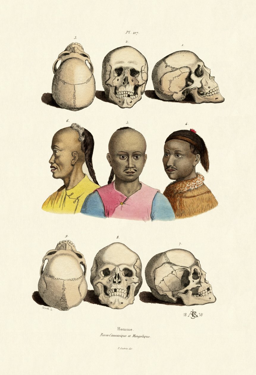 白人、1833-39 作： フランス語学校
