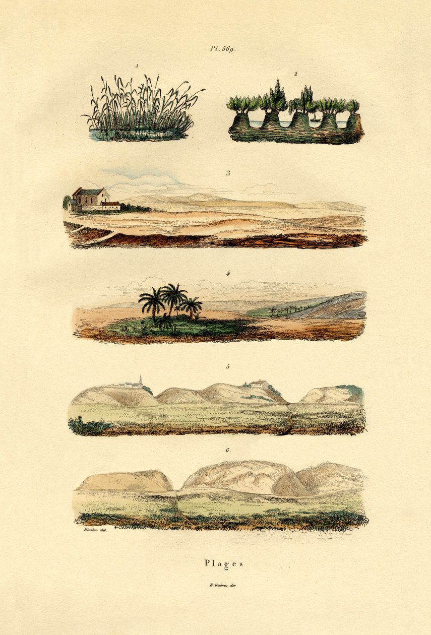 海岸、1833-39 作： フランス語学校