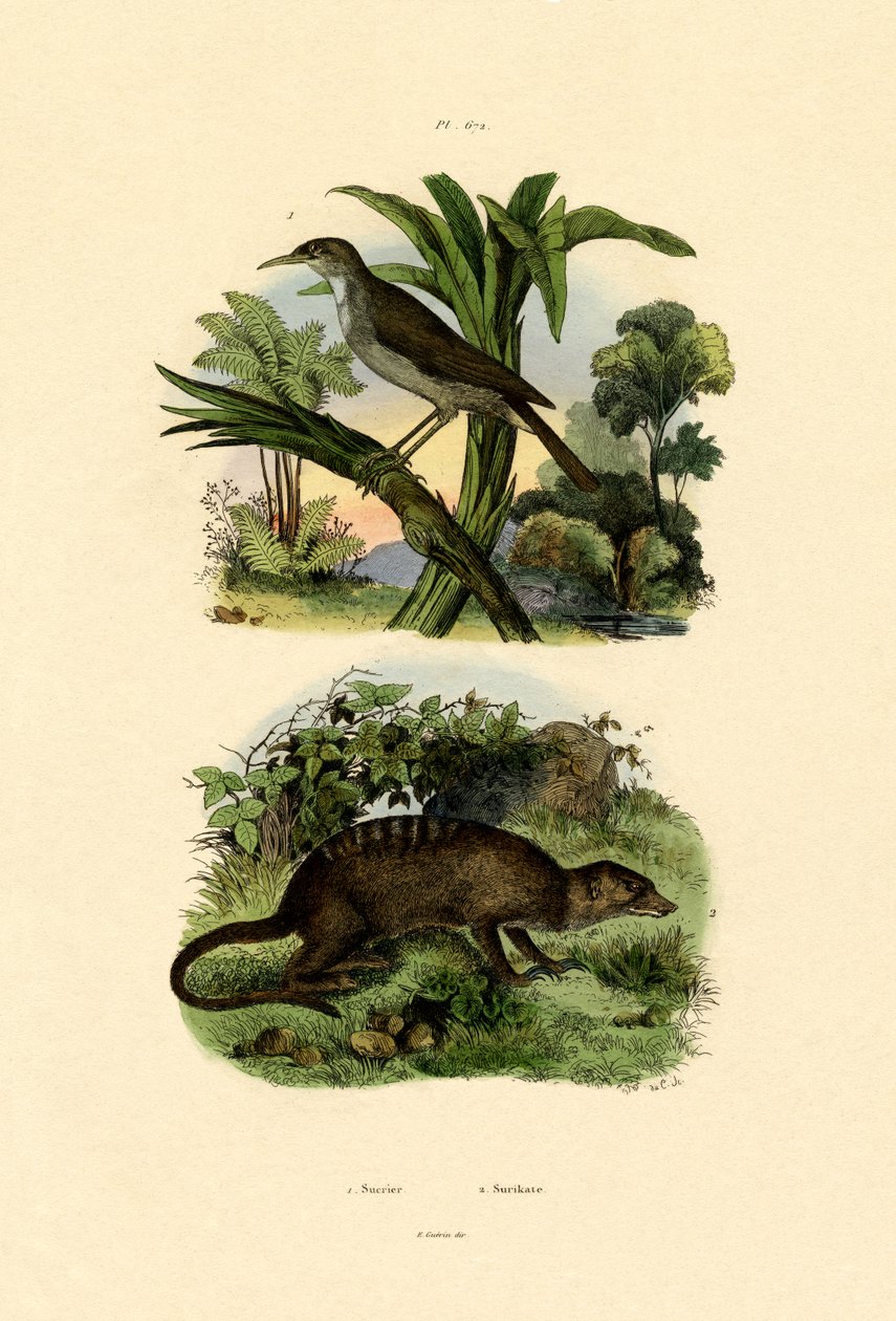 コネビル、1833-39 作： フランス語学校
