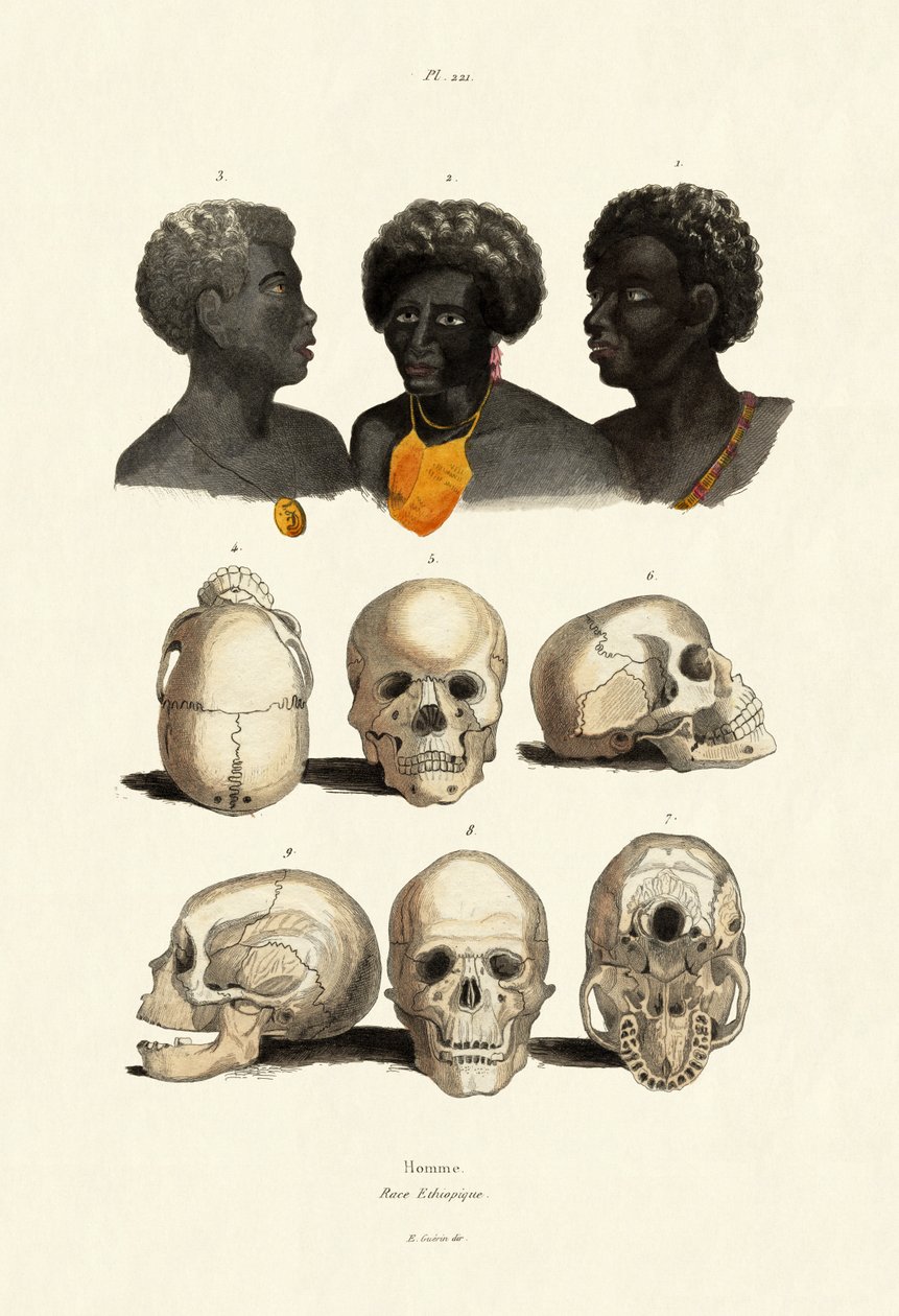 エチオピア人、1833-39 作： フランス語学校