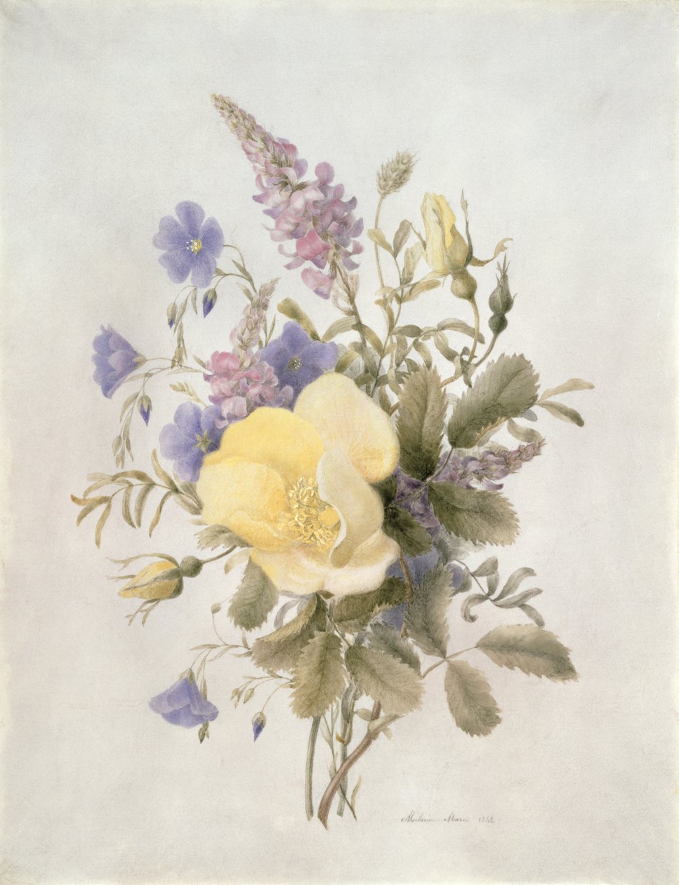 黄色いバラの花1840（紙にトイレ） 作： フランス語学校