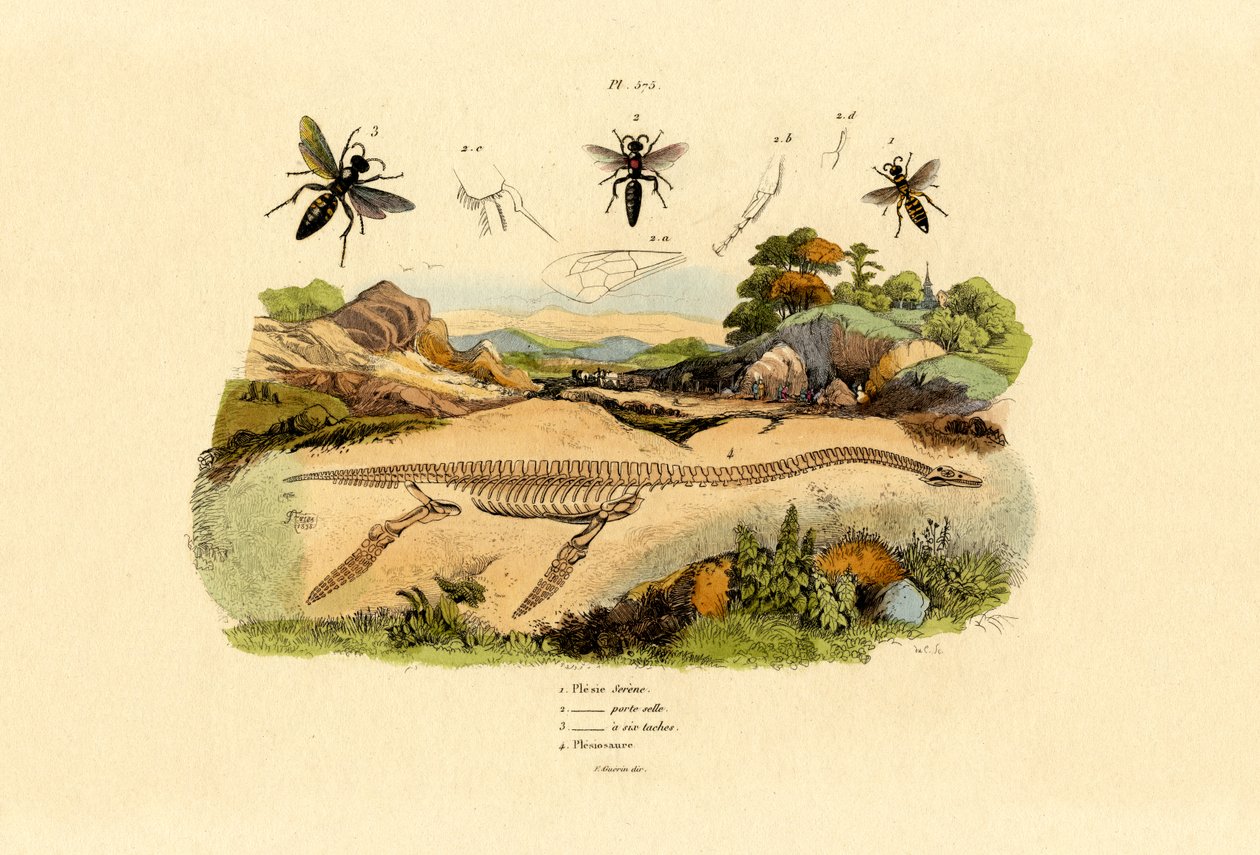 ホーネット、1833-39 作： フランス語学校