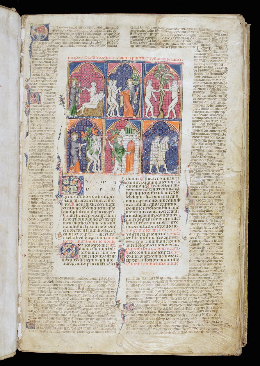 Ms. 262、f.1r：GratianのDecretumからの作成と落下の6つのシーン、c.1300 作： フランス語学校