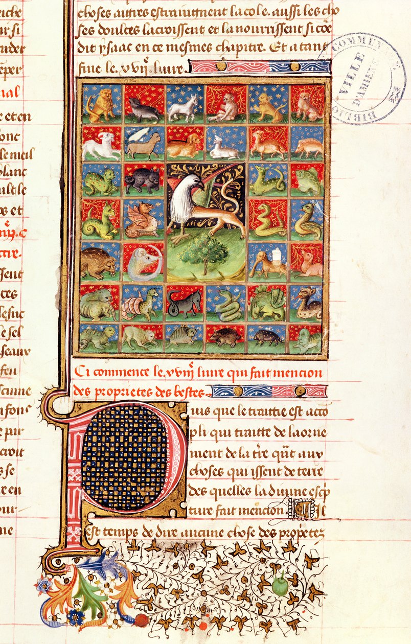 Ms 399 fol.241イギリス人のBarthelemyによる &39;Livre des Proprietes des Choses&39;の動物の特性 作： フランス語学校