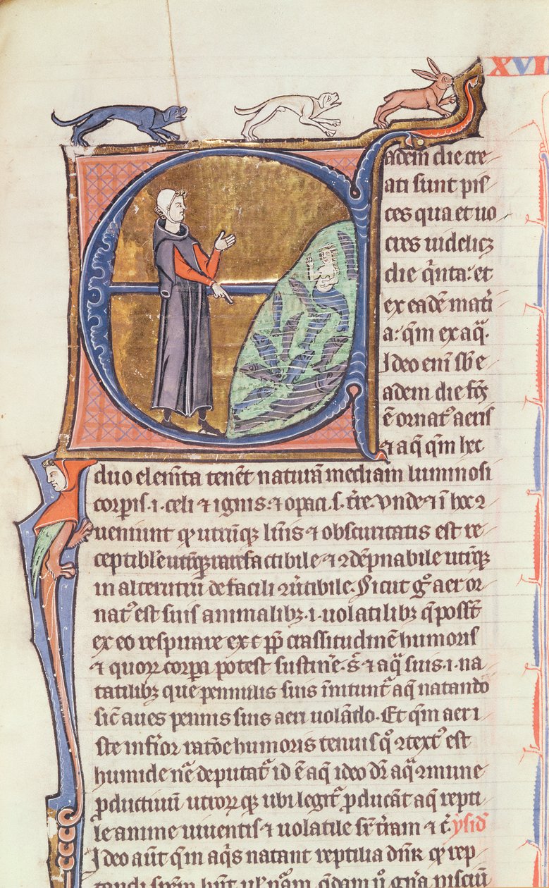Ms 426 fol。213 Vincent de Beauvaisによる「Le Miroir de la Nature」の養魚池の医者 作： フランス語学校