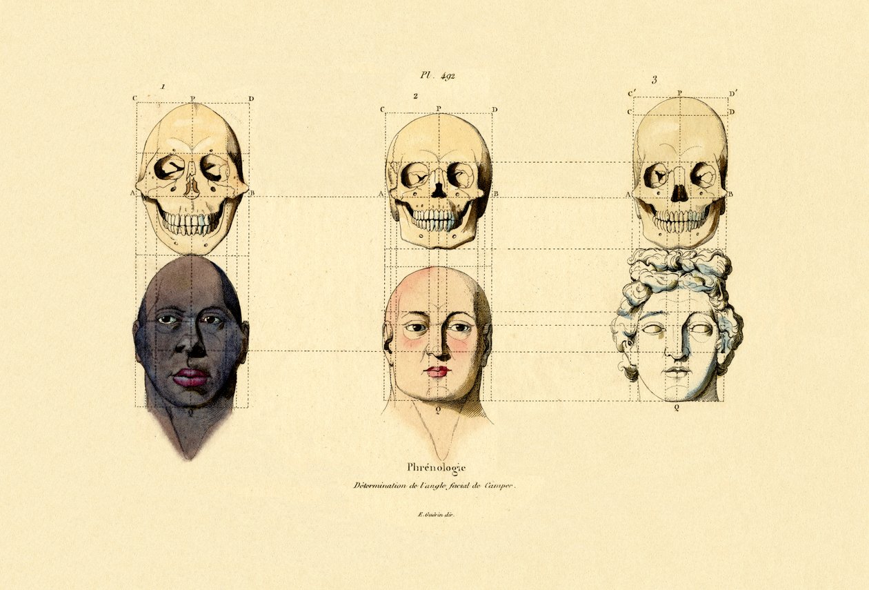 骨相学、1833-39 作： フランス語学校