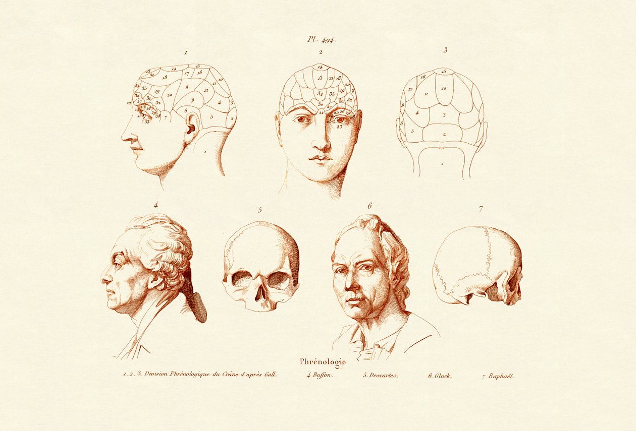 骨相学、1833-39 作： フランス語学校