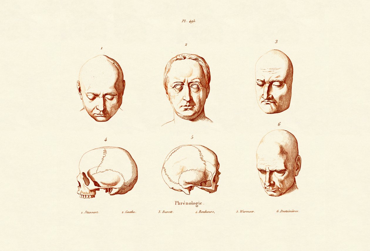 骨相学、1833-39 作： フランス語学校