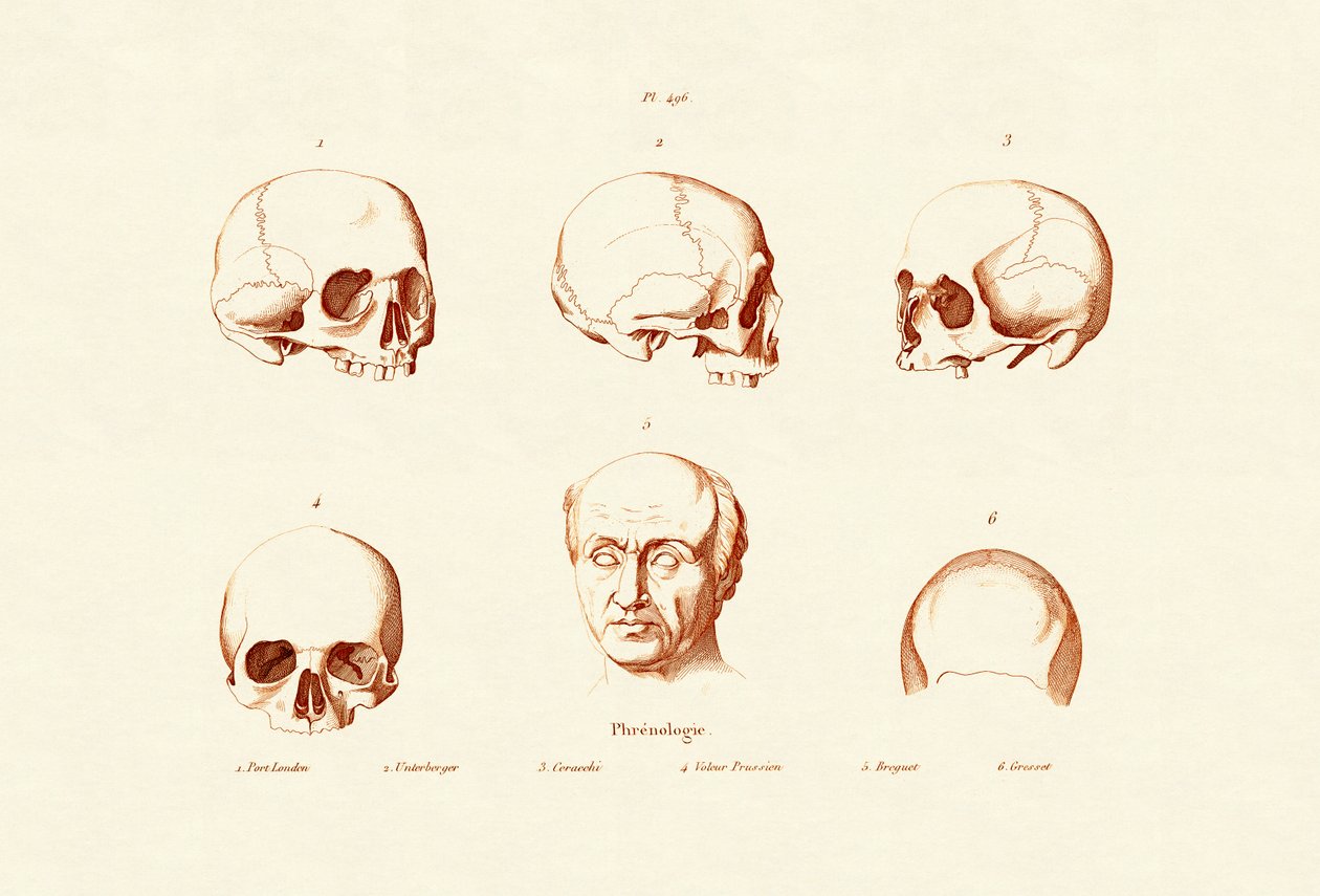 骨相学、1833-39 作： フランス語学校