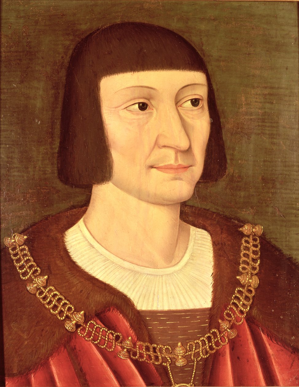 ピエールデュテレール（1476-1524）ベヤードの騎士 作： フランス語学校