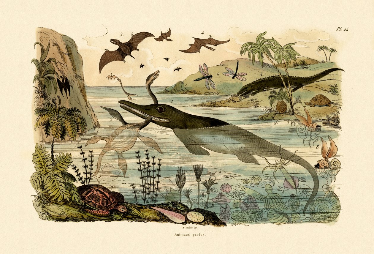 先史時代の動物、1833-39 作： フランス語学校